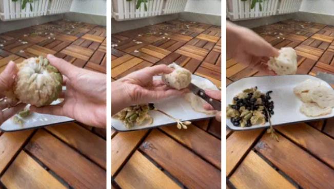 Màn tách hạt na siêu đỉnh chỉ bằng 1 dụng cụ đơn giản-1