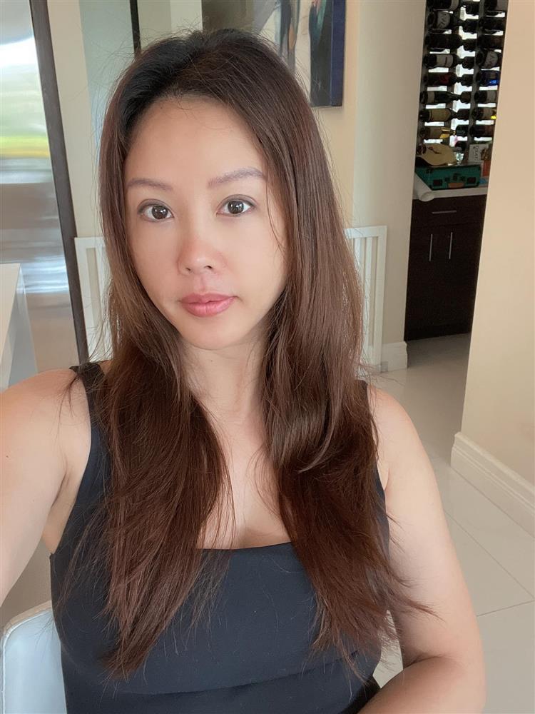 Thu Hoài xuất hiện lạ lẫm, có bầu với phi công kém 10 tuổi?-1