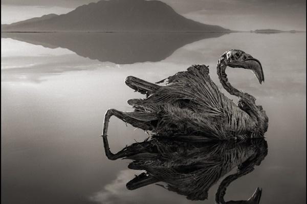 Ngỡ ngàng vẻ đẹp của hồ nước màu xanh sapphire tại Nhật Bản-7