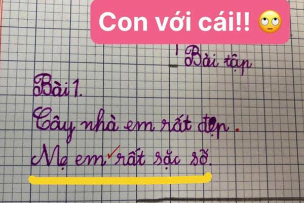 Bé gái lớp 2 viết nhật ký nói xấu cả thế giới, câu chốt gây cười-3