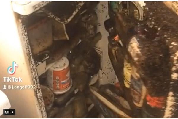 Quán quân chiếc tủ lạnh đáng sợ nhất năm, xem clip mà ngạt thở!-1