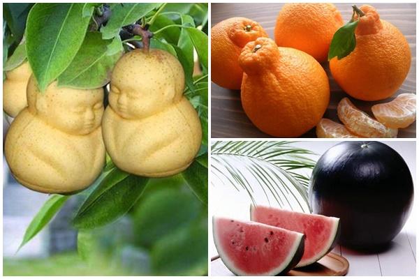 Tỉnh táo tránh mua nhầm 7 loại trái Trung Quốc tràn ngập chợ Việt Nam-8