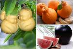Tỉnh táo tránh mua nhầm 7 loại trái Trung Quốc tràn ngập chợ Việt Nam-8