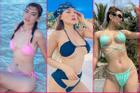 Mỹ nhân Việt mặc bikini ngược: Hoa hậu xập xệ, hot girl xổ mỡ