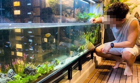 Vợ sắp đẻ muốn mua máy giặt, chồng lại rước cá cảnh ngắm cho vui-2