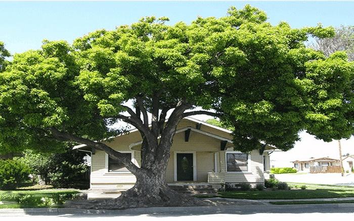 3 dấu hiệu nhà có âm khí, càng ở càng đau ốm, tài lộc tiêu tán-2