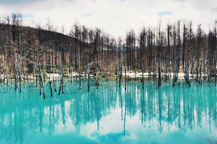 Ngỡ ngàng vẻ đẹp của hồ nước màu xanh sapphire tại Nhật Bản-2