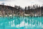 Ngỡ ngàng vẻ đẹp của hồ nước màu xanh sapphire tại Nhật Bản