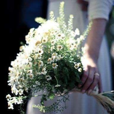 Tử vi 12 cung hoàng đạo thứ Sáu 27/8/2021: Thị phi đeo bám Thiên Bình-1