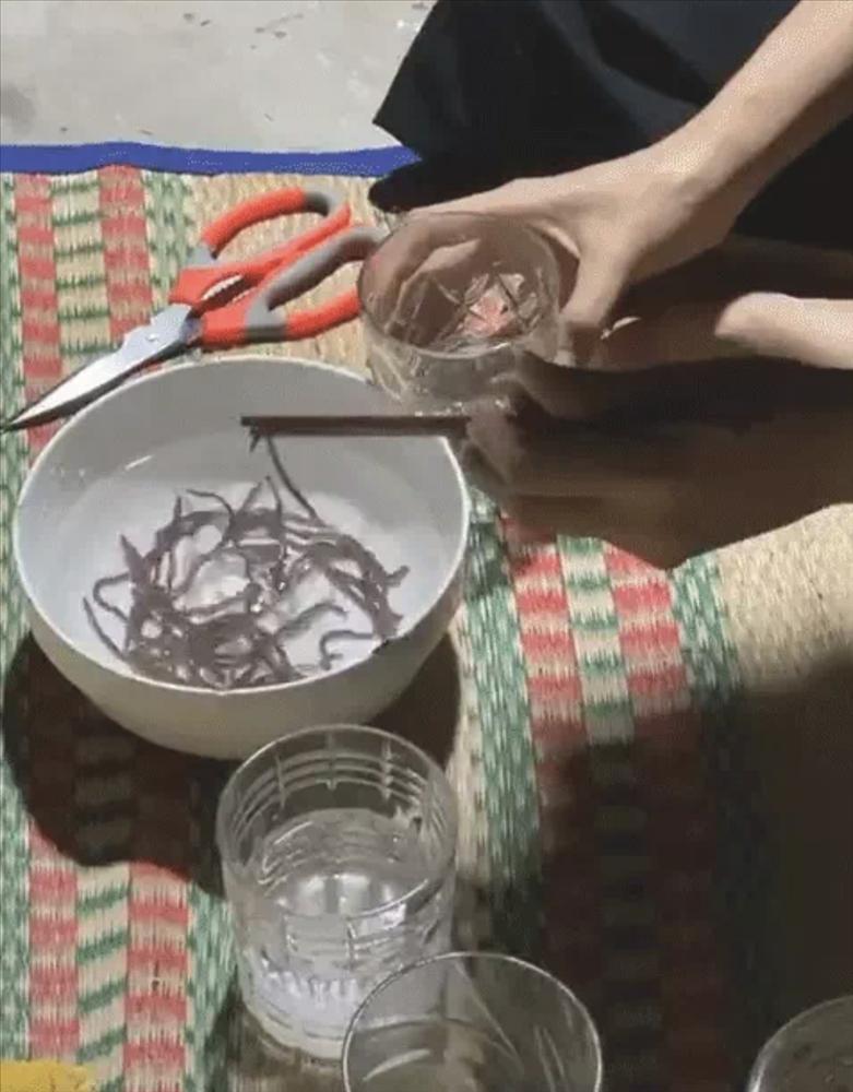 Chuyên gia cảnh báo người uống giun đất sống trị Covid-19-3