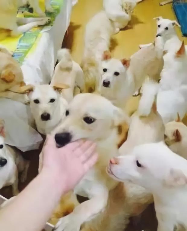 Người phụ nữ gây sốc bỏ việc lương 70 triệu/tháng ở lì trong nhà 6 năm-2