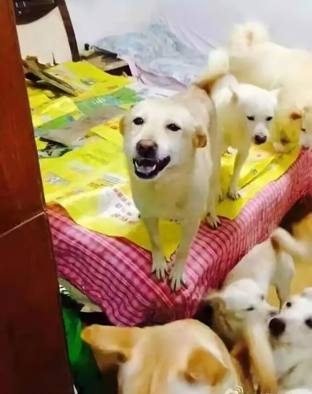 Người phụ nữ gây sốc bỏ việc lương 70 triệu/tháng ở lì trong nhà 6 năm-3