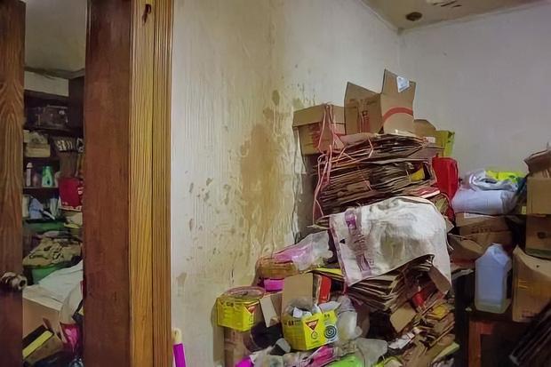 Người phụ nữ gây sốc bỏ việc lương 70 triệu/tháng ở lì trong nhà 6 năm-5