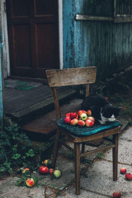 Tử vi 12 cung hoàng đạo thứ Bảy 28/8/2021: Bảo Bình ưa phông bạt-1