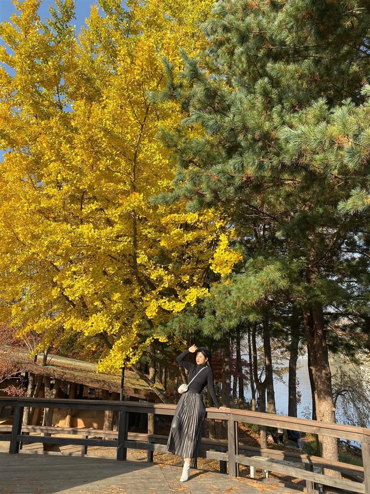 Dân mạng cảnh báo Đoàn Di Băng cẩn thận mất chồng vì vú nuôi-4