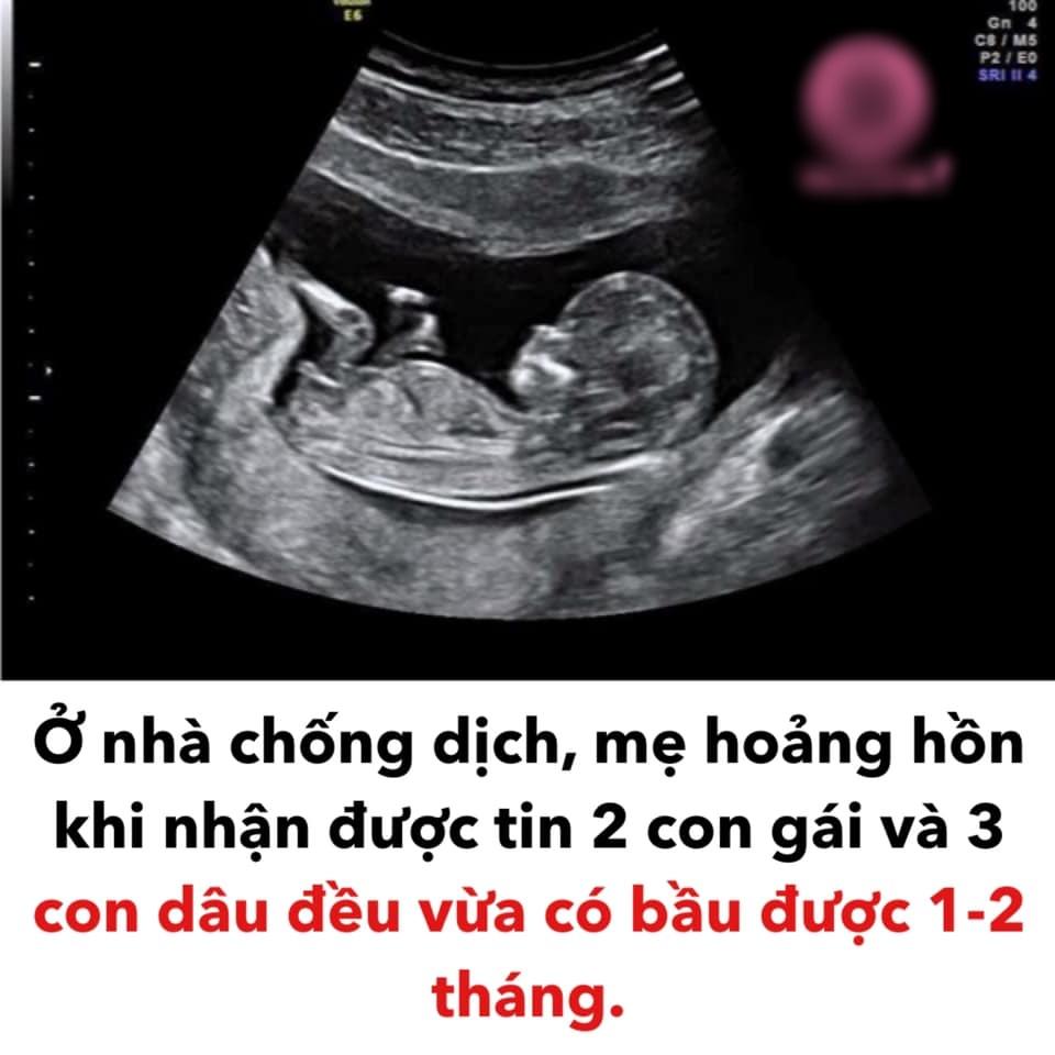 Ở nhà chống dịch, mẹ hoảng hồn khi nghe tin 5 con cùng có bầu-2