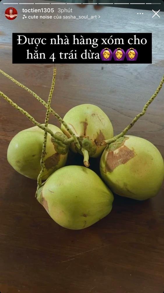 Tóc Tiên căng não vì đi chợ online nhưng vẫn làm hẳn menu đồ sộ 30 món-6