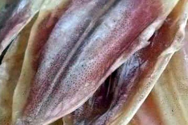 Rạch bụng con mực cỡ 2 gang tay, tá hỏa thấy 11 thứ khác bên trong-4