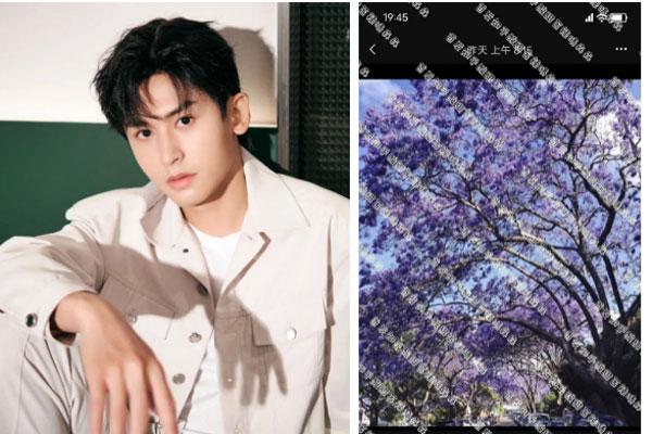 Trương Triết Hạn tìm được ngay bến đỗ mới sau khi bị phong sát?-1