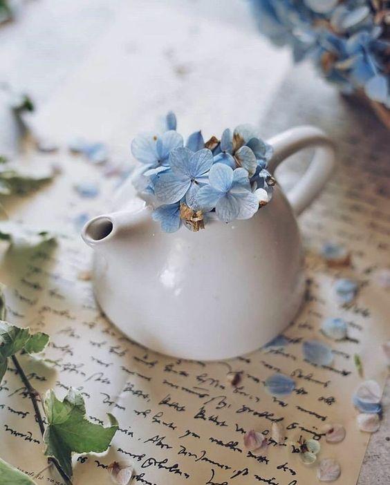 Tử vi 12 cung hoàng đạo Chủ nhật 29/8/2021: Kim Ngưu bị dối tình-1