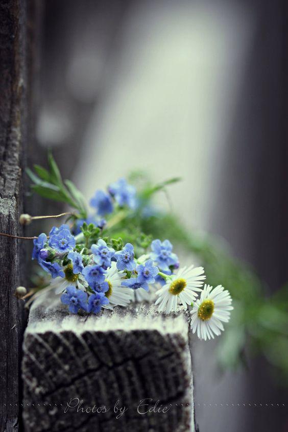 Tử vi 12 cung hoàng đạo Chủ nhật 29/8/2021: Kim Ngưu bị dối tình-3