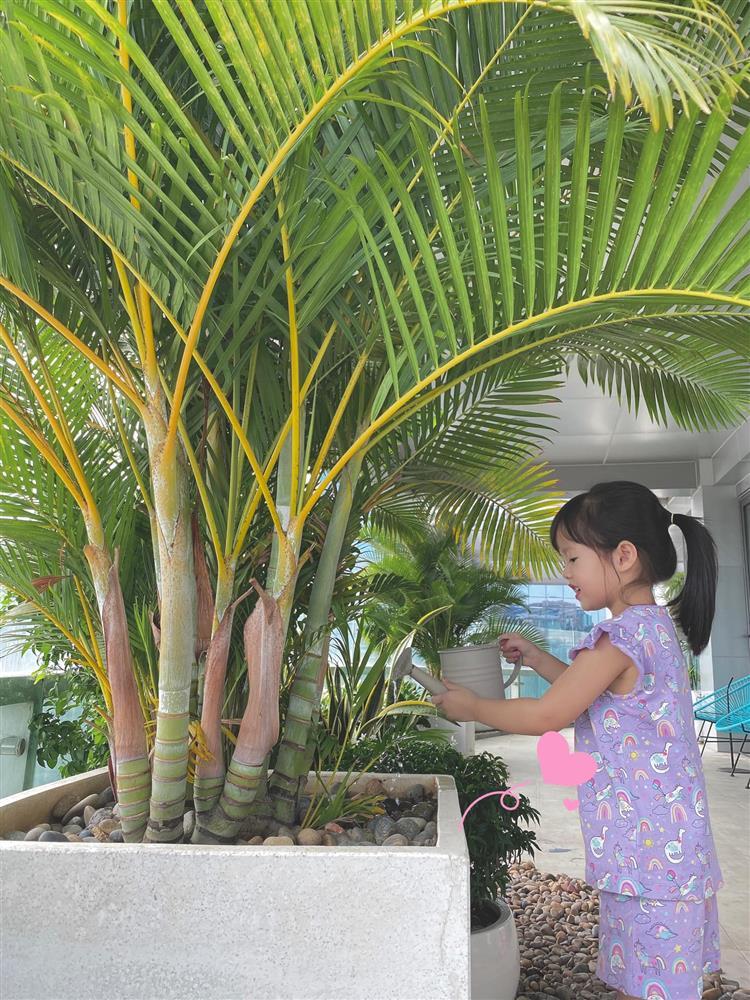 Cưng xỉu ảnh con trai Đặng Thu Thảo 1 tuổi làm vườn-5