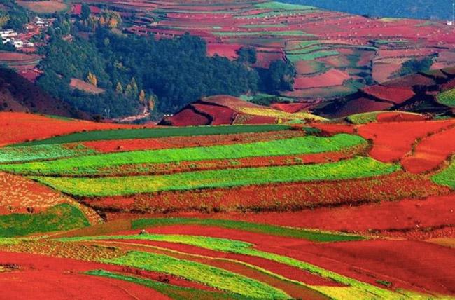 Những điều kỳ lạ du khách chỉ bắt gặp ở Trung Quốc-9