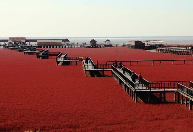 Những điều kỳ lạ du khách chỉ bắt gặp ở Trung Quốc-10