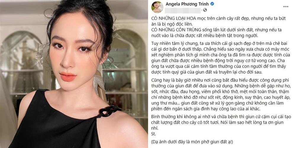 Angela Phương Trinh khoe tô phở giun đất kinh hãi-1