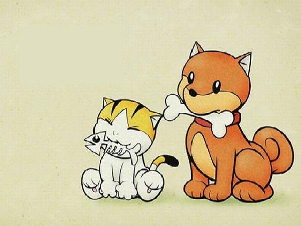 3 cặp con giáp khắc khẩu nhưng hợp mệnh làm ăn, chẳng mấy phát tài-1