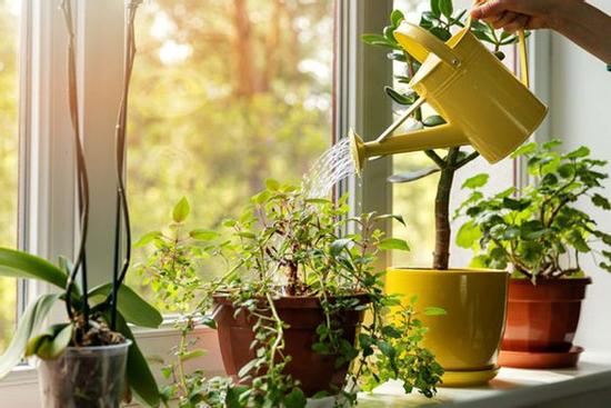 Tử vi 12 cung hoàng đạo thứ Ba 31/8/2021: Cự Giải cô đơn giữa đời