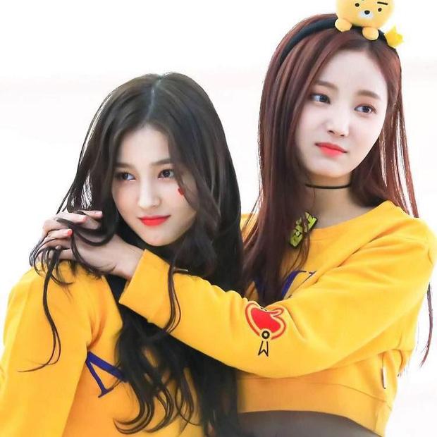 Bạn gái hụt của Lee Min Ho lép vế trước thiên thần lai Nancy-2