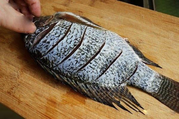 Rán cá làm thêm bước này cá vàng giòn, không nát hay bắn dầu-2