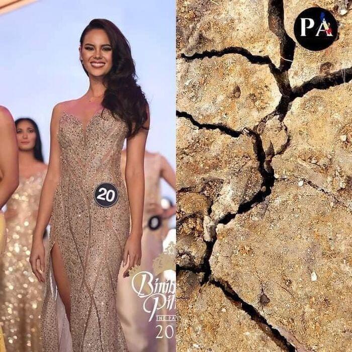 Cười xỉu váy dạ hội hoa hậu, ám ảnh bộ như bì lợn chiên giòn-3