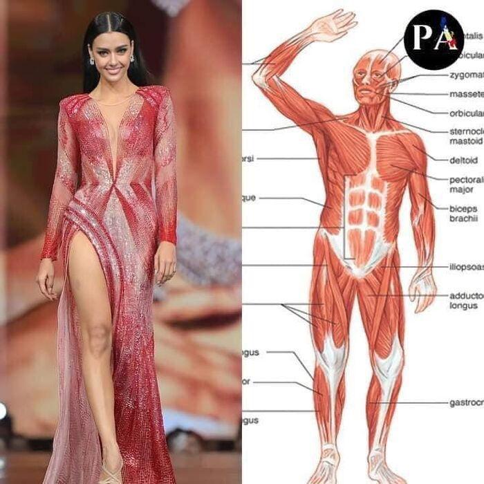 Cười xỉu váy dạ hội hoa hậu, ám ảnh bộ như bì lợn chiên giòn-6