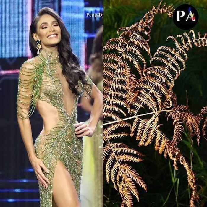 Cười xỉu váy dạ hội hoa hậu, ám ảnh bộ như bì lợn chiên giòn-16