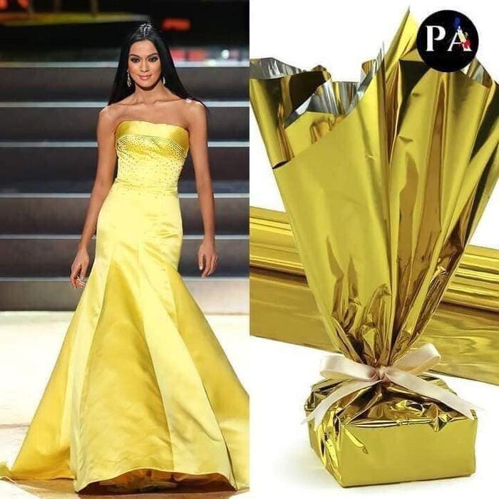 Cười xỉu váy dạ hội hoa hậu, ám ảnh bộ như bì lợn chiên giòn-18