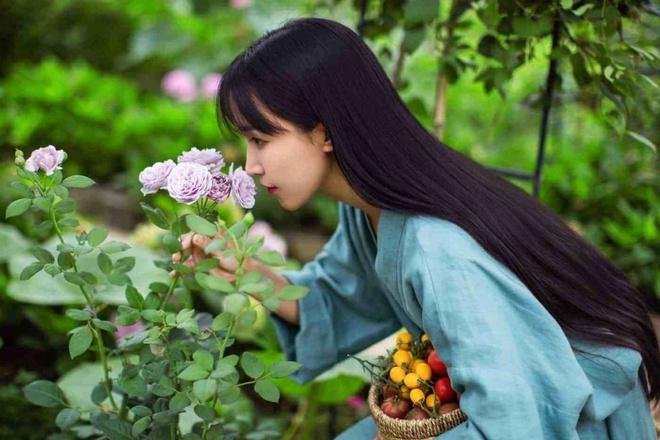 Lý Tử Thất thông báo ngừng đăng clip đồng quê, bất ngờ lý do-2