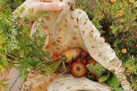 Tử vi 12 cung hoàng đạo thứ Tư 1/9/2021: Bọ Cạp quá gia trưởng!