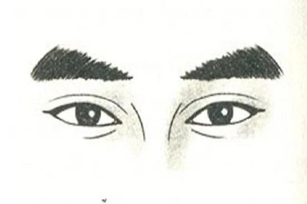 4 tướng lông mày giàu có phát tài, càng chăm chỉ càng thành đạt-1