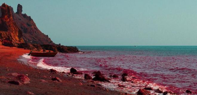 Bí ẩn bãi biển có màu đỏ như máu-3