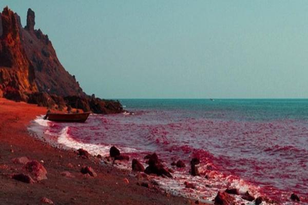 Bãi biển kỳ lạ, du khách đào hố ngâm nước nóng ngay trên bờ-6