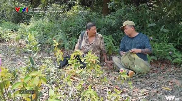 Hương Vị Tình Thân: Chiến Chó chưa chết, tối nay Nam cưới Long-1