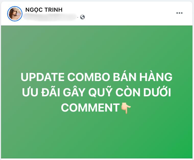 Ngọc Trinh bị lôi vào đại chiến sao kê vì gây quỹ từ thiện mùa dịch-2