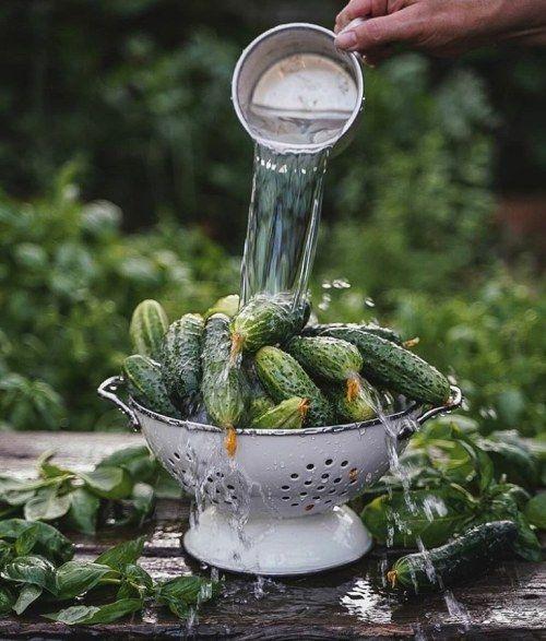 Tử vi 12 cung hoàng đạo thứ Năm 2/9/2021: Cự Giải hào phóng lạ-1