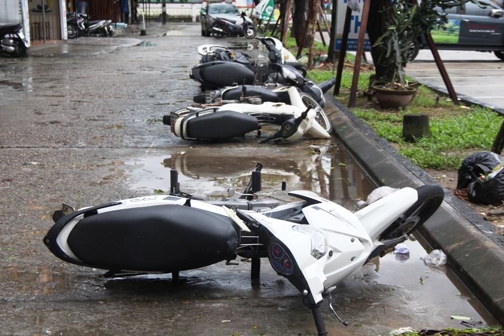 Bão số 13 đổ bộ vào miền Trung: Gió giật kinh hoàng, mưa lớn, cây bật gốc, trường học tốc mái-6