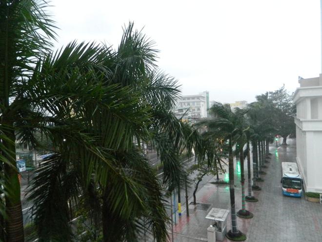 Bão số 13 đổ bộ vào miền Trung: Gió giật kinh hoàng, mưa lớn, cây bật gốc, trường học tốc mái-2