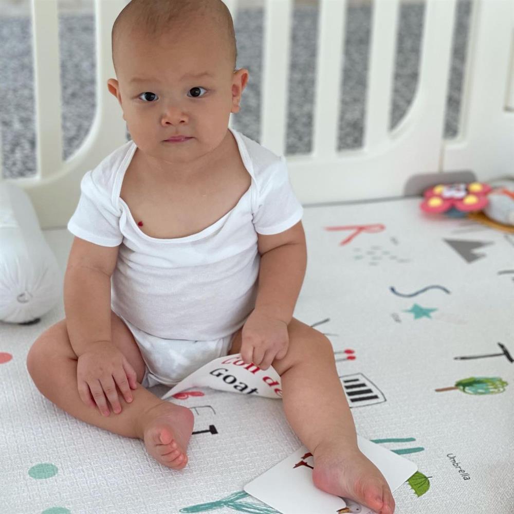 Lisa nhà Hà Hồ bị cướp trong đêm, nhìn thủ phạm netizen cười bò-6