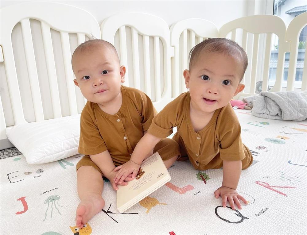 Lisa nhà Hà Hồ bị cướp trong đêm, nhìn thủ phạm netizen cười bò-9