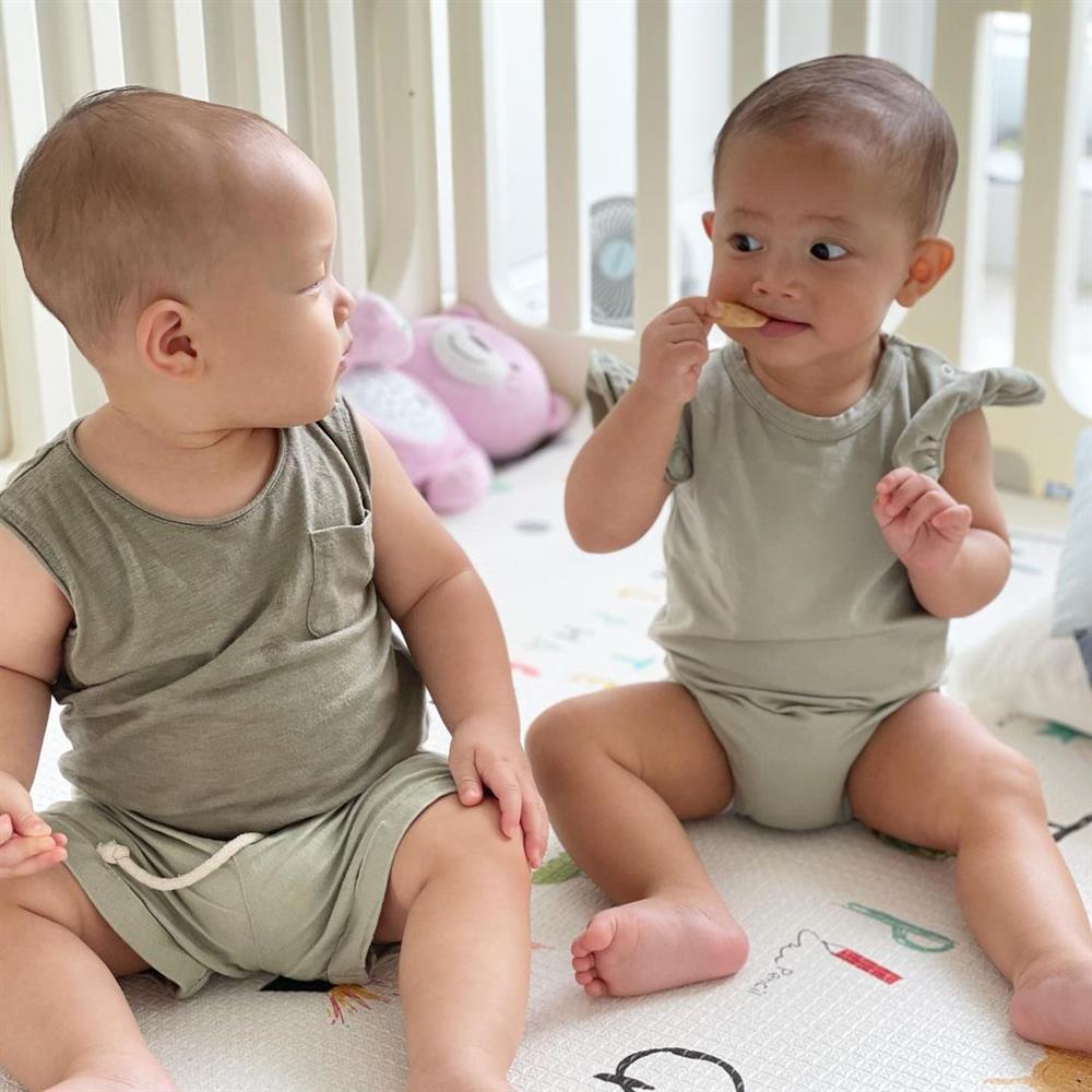 Lisa nhà Hà Hồ bị cướp trong đêm, nhìn thủ phạm netizen cười bò-8